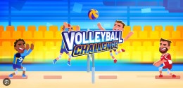 Volleyball Challenge